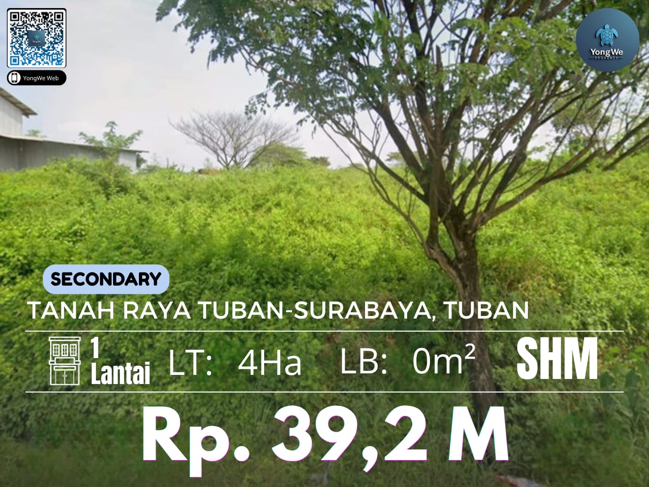 Tanah