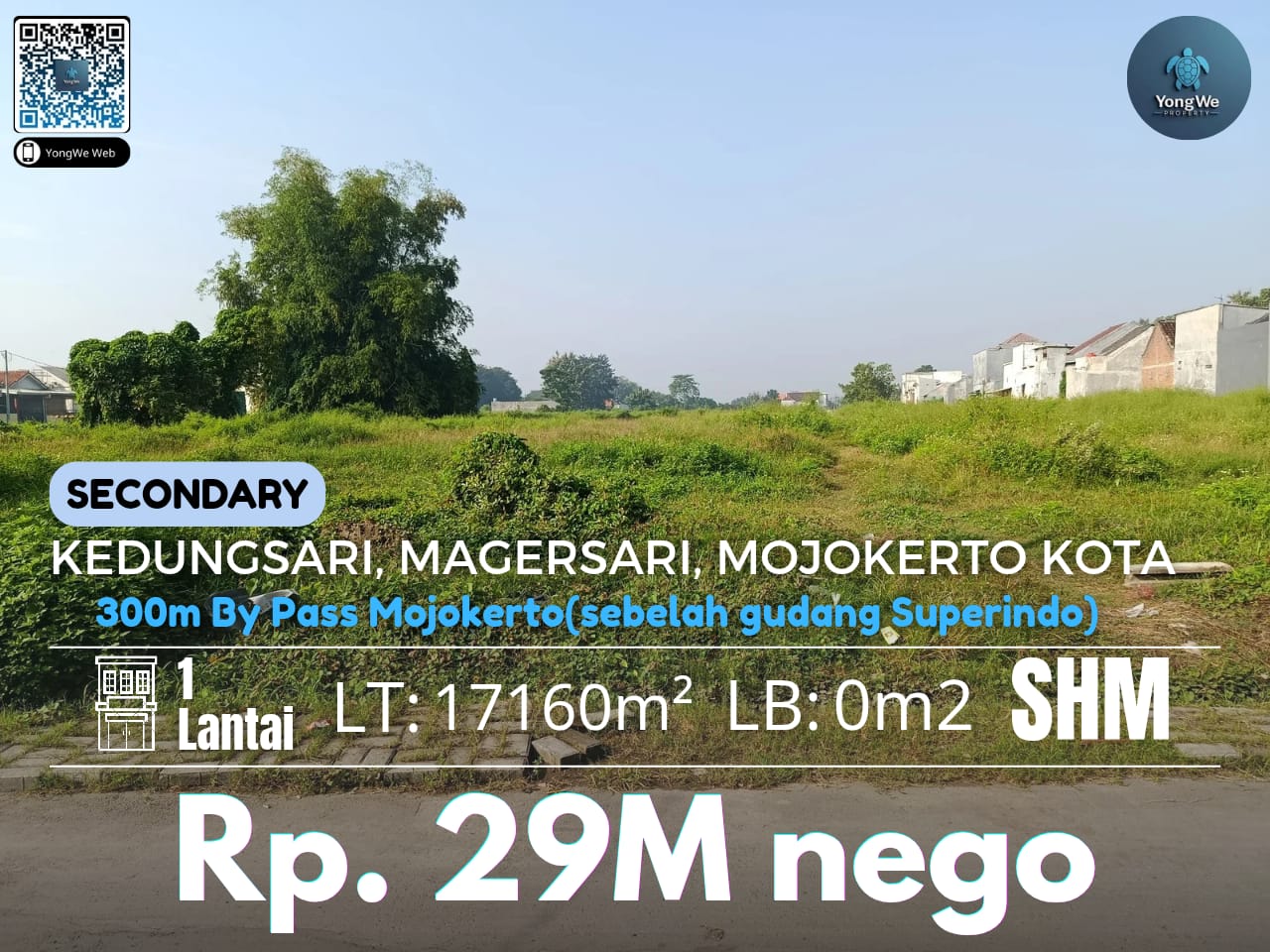 Tanah
